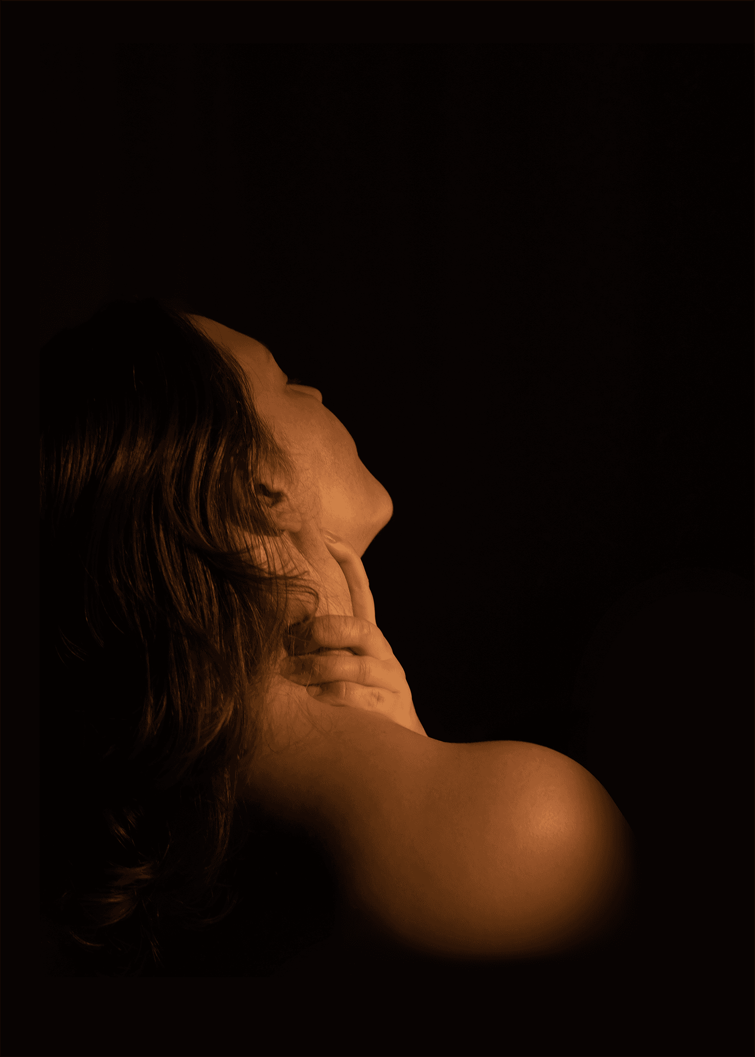 Dark Portraits - Beauty in Gold